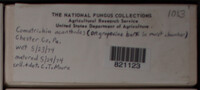 Image Associated With the Occurence